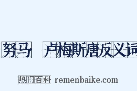 努马·卢梅斯唐反义词是什么意思的图片